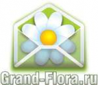 Логотип компании Доставка цветов Гранд Флора (ф-л г.Благодарный)